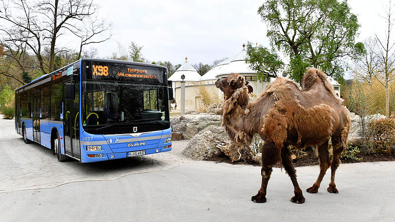 Ohne Umsteigen vom Hauptbahnhof zum Tierpark - ist ab kommendem Samstag mit dem neuen Expressbus X98 möglich.