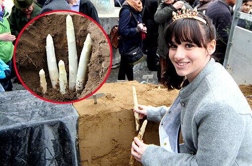 Spargelkönigin Daniela Kögler hat am Mittwoch auf dem Viktualienmarkt gemeinsam mit dem bayerischen Landwirtschaftsminister Brunner die Spargelsaison eröffnet.