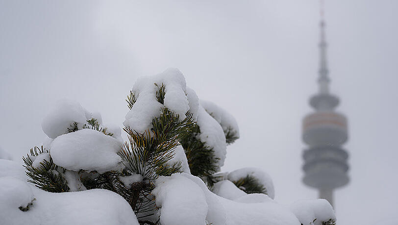 Für München und das südliche Alpenvorland werden 10 bis 20 Zentimeter Neuschnee erwartet. Für München und das südliche Alpenvorland werden 10 bis 20 Zentimeter Neuschnee erwartet.