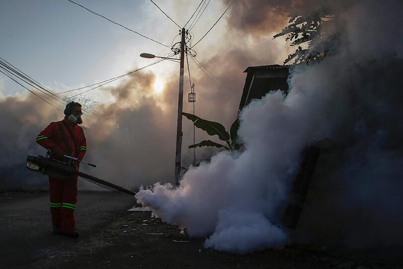 In Malaysia ist das Risiko für eine Ansteckung mit dem Dengue-Fieber zur Zeit sehr hoch. Hier sprüht ein Arbeiter ein Mittel, das die Fliegenlarven abtöten soll.