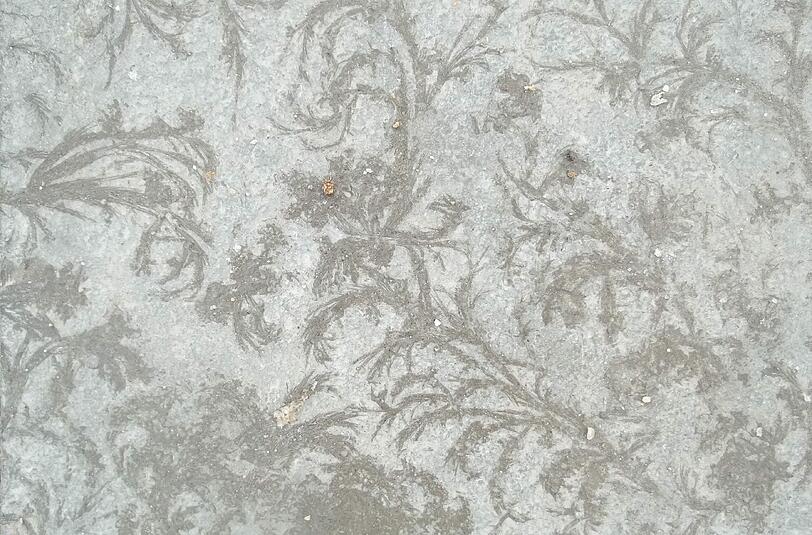 "Die schönsten Bilder malt &ndash; oder wie in diesem Fall zeichnet - immer wieder die Natur", schreibt AZ-Leserin Karin Richter. Bei diesem Foto von gefrorenen Mustern auf dem Gehweg können wir nur zustimmen.
