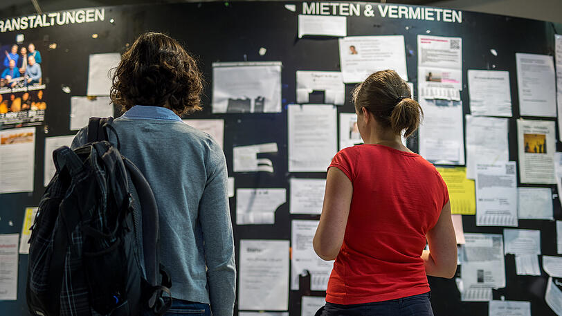 Zwei Studenten betrachten die Wohnungsanzeigen am Schwarzen Brett.