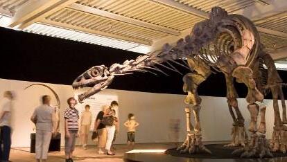 Hautnah: ein Lessensaurus. Hautnah: ein Lessensaurus.