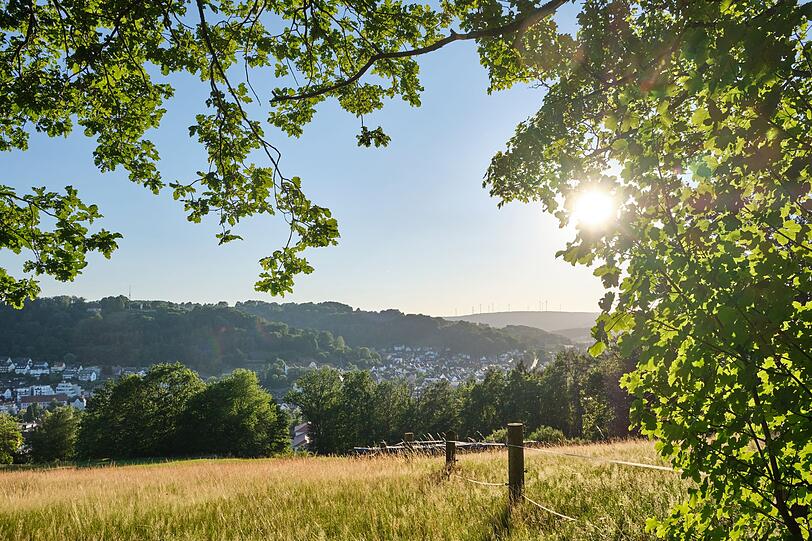 Im Spessart befindet sich der größte zusammenhängende Laubmischwald des Landes, mit uralten Buchen und Eichen. Die Region ist außerdem Heimat der Gebrüder Grimm. Reisende wissen die Schönheit und Ursprünglichkeit des Spessarts zu schätzen, aber auch das gut ausgebaute Rad- und Wanderwegenetz. Ein beliebtes Ausflugsziel ist das Wasserschlosses Mespelbrunn. Im Spessart befindet sich der größte zusammenhängende Laubmischwald des Landes, mit uralten Buchen und Eichen. Die Region ist außerdem Heimat der Gebrüder Grimm. Reisende wissen die Schönheit und Ursprünglichkeit des Spessarts zu schätzen, aber auch das gut ausgebaute Rad- und Wanderwegenetz. Ein beliebtes Ausflugsziel ist das Wasserschlosses Mespelbrunn.