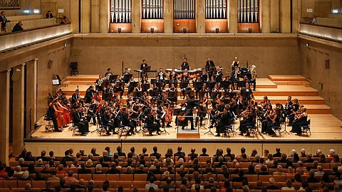 Die Neue Philharmonie M&uuml;nchen hat sich seit ihrer Gr&uuml;ndung 2005 zu einem internationalen 
Orchester mit Musikstudierenden aus ganz Europa und weiteren L&auml;ndern der Welt entwickelt.