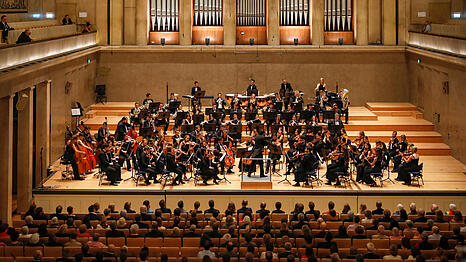 Die Neue Philharmonie M&uuml;nchen hat sich seit ihrer Gr&uuml;ndung 2005 zu einem internationalen 
Orchester mit Musikstudierenden aus ganz Europa und weiteren L&auml;ndern der Welt entwickelt.