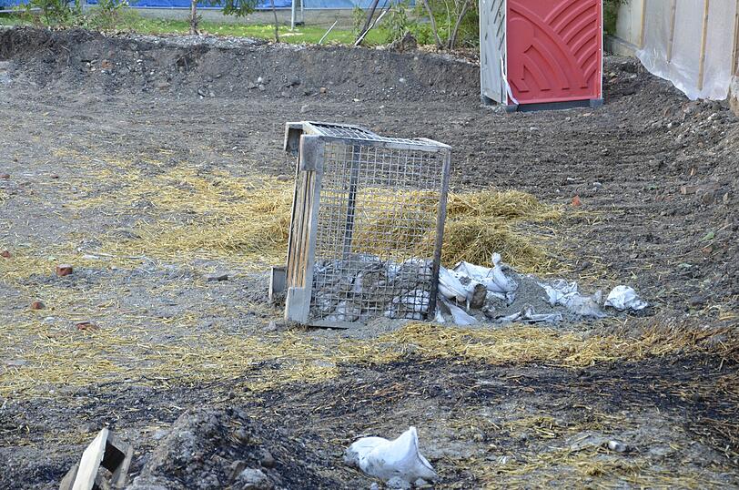 Schwabing am Tag nach der Bombensprengung: Die Spuren der Detonation sind deutlich zu erkennen, teilweise hat sie schwere Schäden verursacht. Derzeit werden die Schäden an den Gebäuden der Umgebung erfasst.