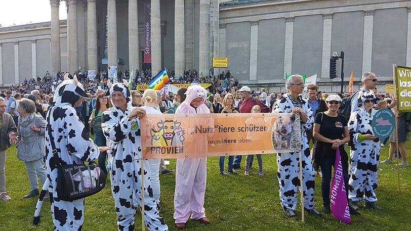 "Mia ham&rsquo;s satt": Die große Demo in München an diesem Samstag