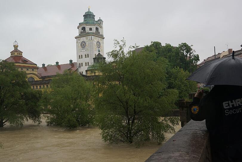 Die braune Flut