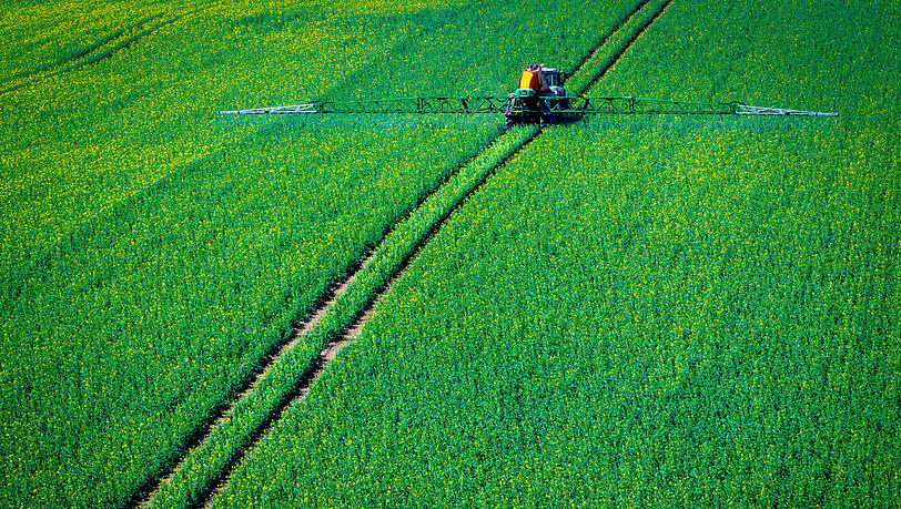 Ein Traktor zieht eine Spritzmaschine über ein Rapsfeld und versprüht Pflanzenschutzmittel. Deren Gefahr ist laut Landwirtschaftsministerium gesunken.