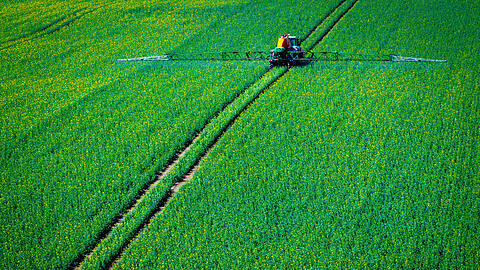 Ein Traktor zieht eine Spritzmaschine über ein Rapsfeld und versprüht Pflanzenschutzmittel. Deren Gefahr ist laut Landwirtschaftsministerium gesunken.