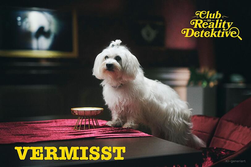 Die Hundedame Coco gehört der fiktiven Schlossherrin Madam S. und wurde von drei Dieben entführt. Aber von wem? Das müssen die Realitystars in 20 Folgen herausfinden. Die Hundedame Coco gehört der fiktiven Schlossherrin Madam S. und wurde von drei Dieben entführt. Aber von wem? Das müssen die Realitystars in 20 Folgen herausfinden.