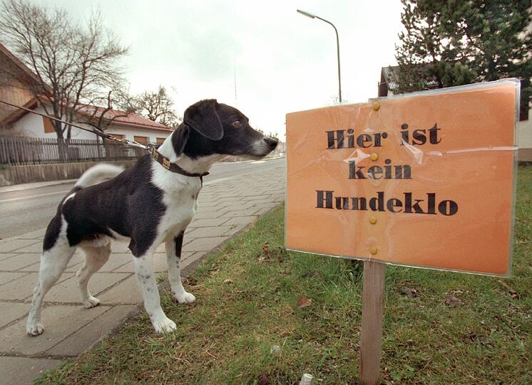 Beliebtes Verbotsthema: Hunde und ihre Hinterlassenschaften.