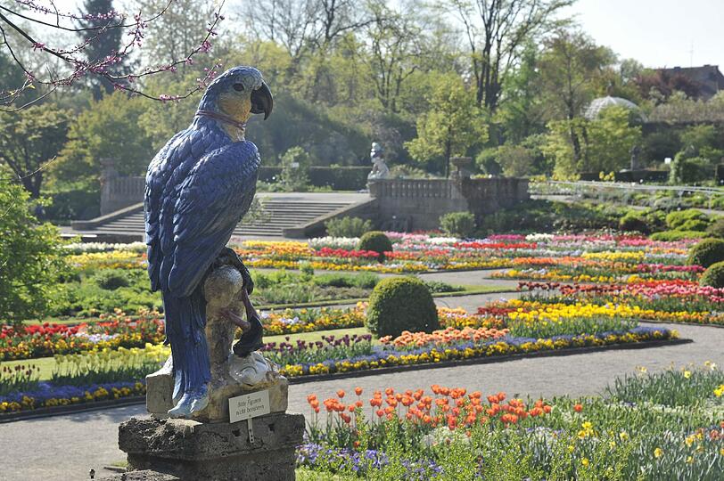Am 25. August lädt der Botanische Garten zur Abendöffnung.
