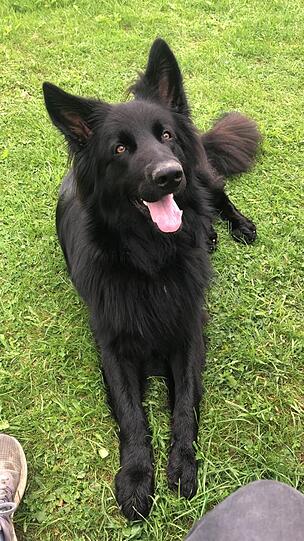 Diego