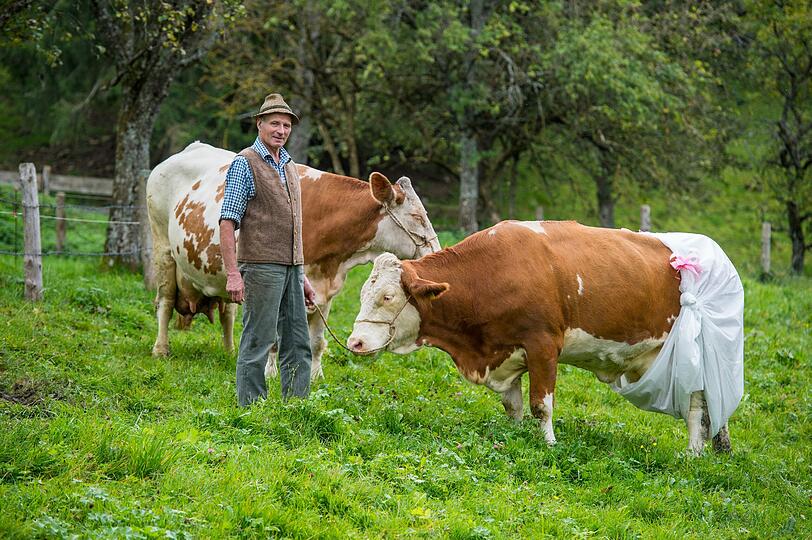 Landwirt Johann Huber und seine Windel-tragende Kuh Doris am Tegernsee. Nach EU-Plänen soll künftig für Flächen mit einer Hangneigung von mehr als 15 Prozent ein generelles Düngeverbot gelten.