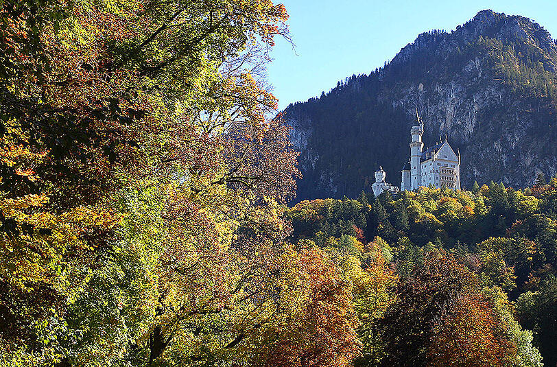 Die Wälder um Schloss Neuschwanstein.