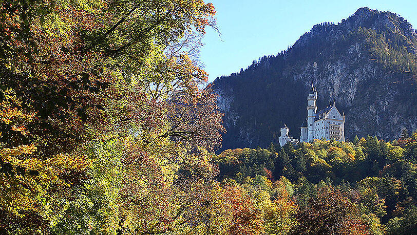 Die Wälder um Schloss Neuschwanstein. Die Wälder um Schloss Neuschwanstein.