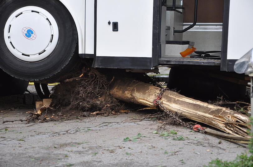 Waldkraiburg: Der Bus überfuhr zwei Bäume, nachdem der Fahrer hinter dem Steuer das Bewusstsein verlor