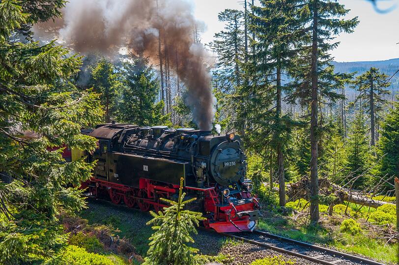 Eine Fahrt mit der Brockenbahn führt durch wunderschöne Berglandschaft und startet von der Ortschaft Drei Annen Hohne. Die 50-minütige Fahrt mit der alten Dampflok führt über Schierke auf den Brockengipfel. Dort angekommen bietet sich eine große Auswahl an interessanten Wanderrouten durch den Harz an. Eine Fahrt mit der Brockenbahn führt durch wunderschöne Berglandschaft und startet von der Ortschaft Drei Annen Hohne. Die 50-minütige Fahrt mit der alten Dampflok führt über Schierke auf den Brockengipfel. Dort angekommen bietet sich eine große Auswahl an interessanten Wanderrouten durch den Harz an.