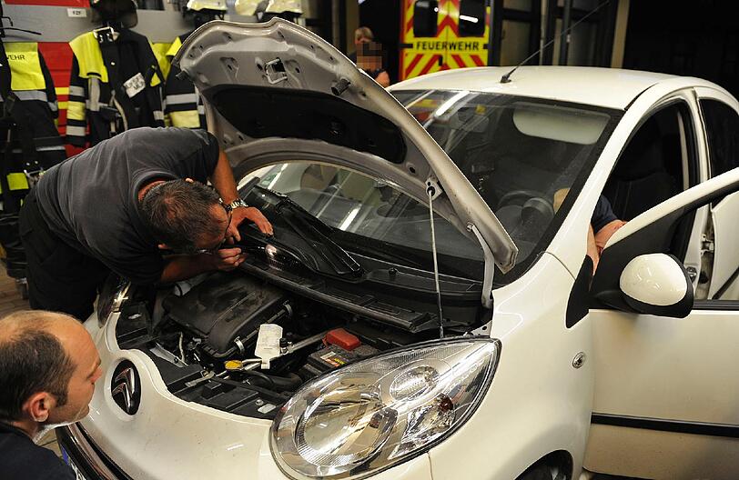 Ein kleiner Kiebitz hatte sich in der Lüftung eines Autos verfangen. Die Feuerwehr befreite den Vogel in einer stundenlangen Rettungsaktion. Die Bilder...