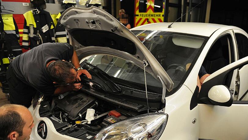 Ein kleiner Kiebitz hatte sich in der Lüftung eines Autos verfangen. Die Feuerwehr befreite den Vogel in einer stundenlangen Rettungsaktion. Die Bilder... Ein kleiner Kiebitz hatte sich in der Lüftung eines Autos verfangen. Die Feuerwehr befreite den Vogel in einer stundenlangen Rettungsaktion. Die Bilder...