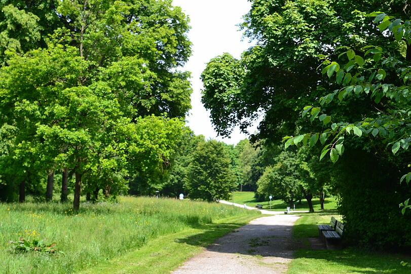 Die Park-Idylle in Fürstenried-Ost.