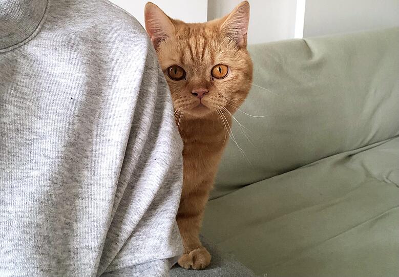 Ted