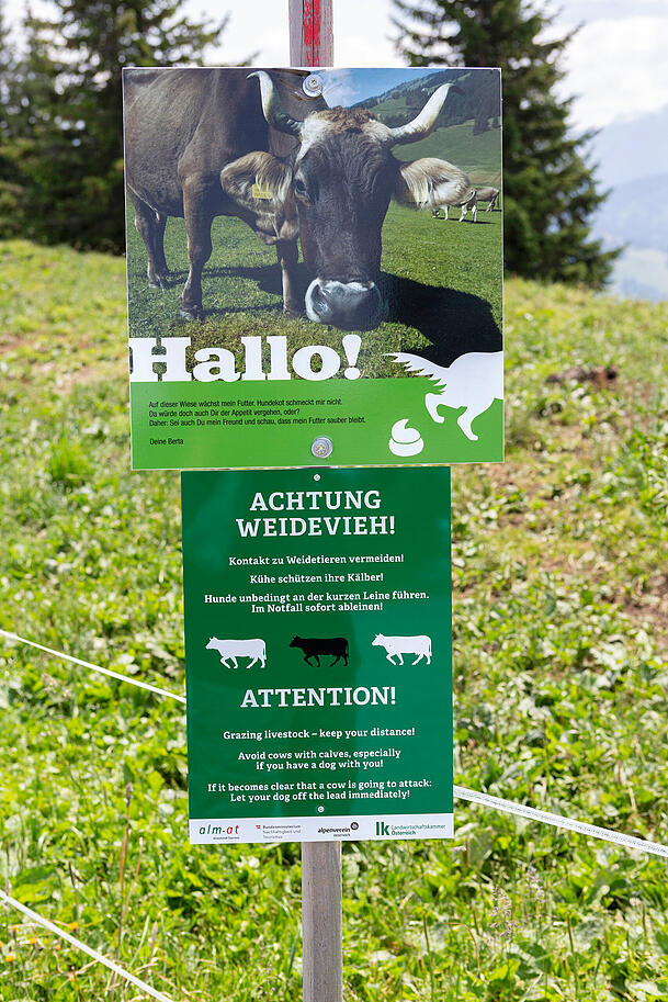 Das Schild weist darauf hin, dass man auf Kühe treffen könnte. Das Schild weist darauf hin, dass man auf Kühe treffen könnte.