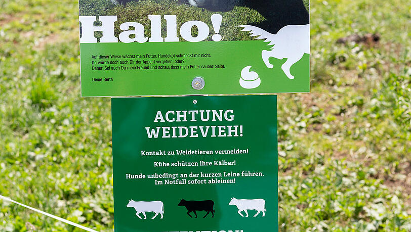 Das Schild weist darauf hin, dass man auf K&uuml;he treffen k&ouml;nnte.