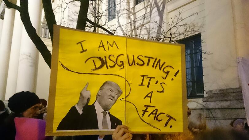 Titel des Plakats: "I am disgusting it's a fact"