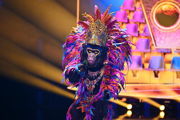 Wurde Dritter bei "The Masked Singer" 2025: Der King Wurde Dritter bei "The Masked Singer" 2025: Der King