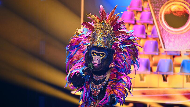 Wurde Dritter bei "The Masked Singer" 2025: Der King Wurde Dritter bei "The Masked Singer" 2025: Der King