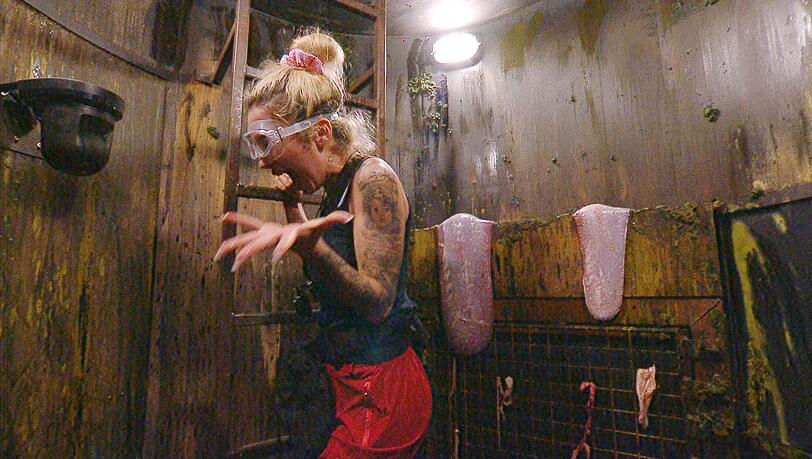 Ariel schreit sich die Seele aus dem Hals: An Tag 2 holen die Promis in der Dschungelprüfung null Sternen. Ariel schreit sich die Seele aus dem Hals: An Tag 2 holen die Promis in der Dschungelprüfung null Sternen.