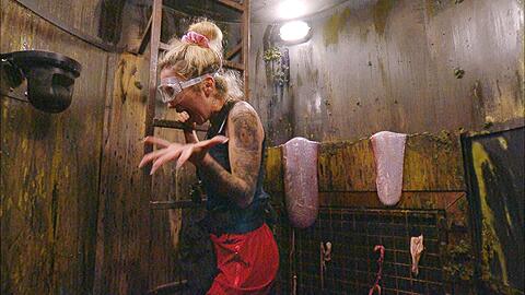 Ariel schreit sich die Seele aus dem Hals: An Tag 2 holen die Promis in der Dschungelpr&uuml;fung null Sternen.