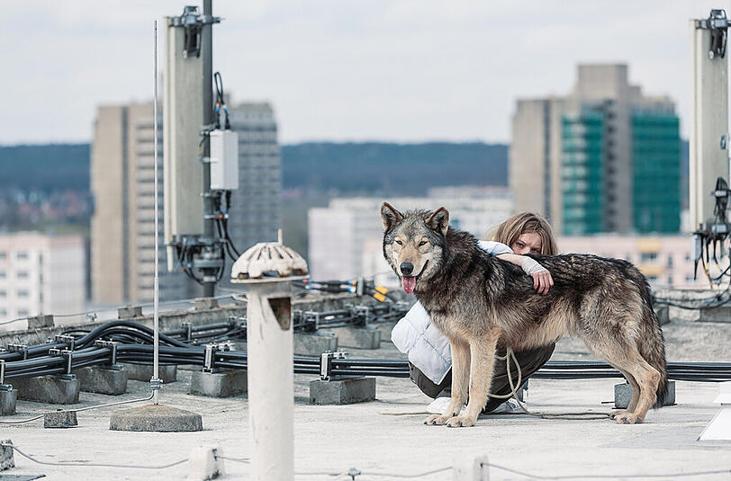Am Ende muss Ania fliehen &ndash; mit ihm, dem Wolf.
