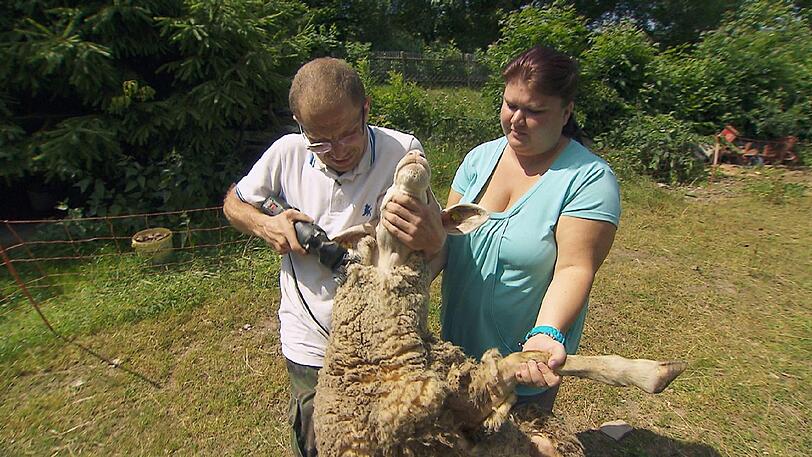 "Bauer sucht Frau" auf RTL: Wilde Küsse! Die Bilder aus der letzten Sendung