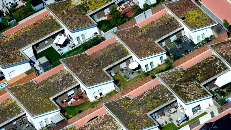 Reihenhäuser in Niedersachsen: Im Schnitt wechselten laut GEWOS Eigenheime zum Preis von 267.000 Euro den Besitzer, ein Plus von 7,5 Prozent. Reihenhäuser in Niedersachsen: Im Schnitt wechselten laut GEWOS Eigenheime zum Preis von 267.000 Euro den Besitzer, ein Plus von 7,5 Prozent.