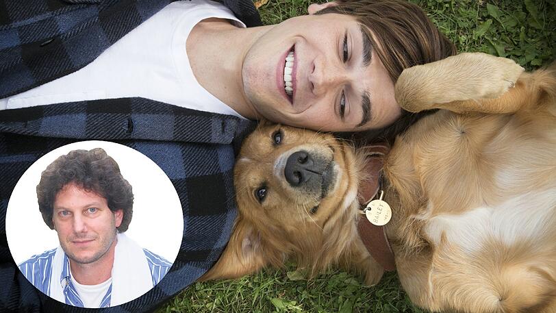 Hunde als Film-Darsteller - Ja oder Nein? AZ-Kulturredakteur Adrian Prechtel findet's in Ordnung.