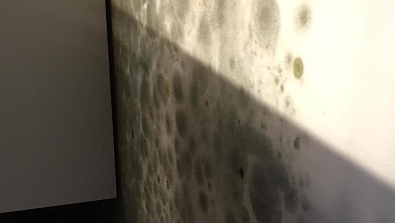 Auch diese Wand ist vom Schimmel überwuchert. Auch diese Wand ist vom Schimmel überwuchert.