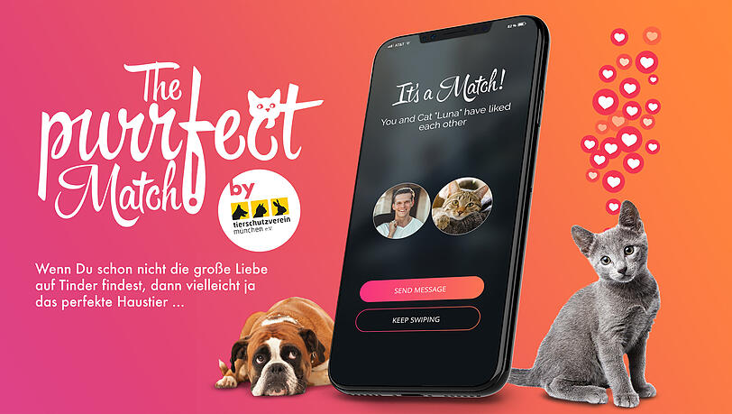 Noch vier Wochen können auf Tinder auch Hund und Katze gefunden werden.