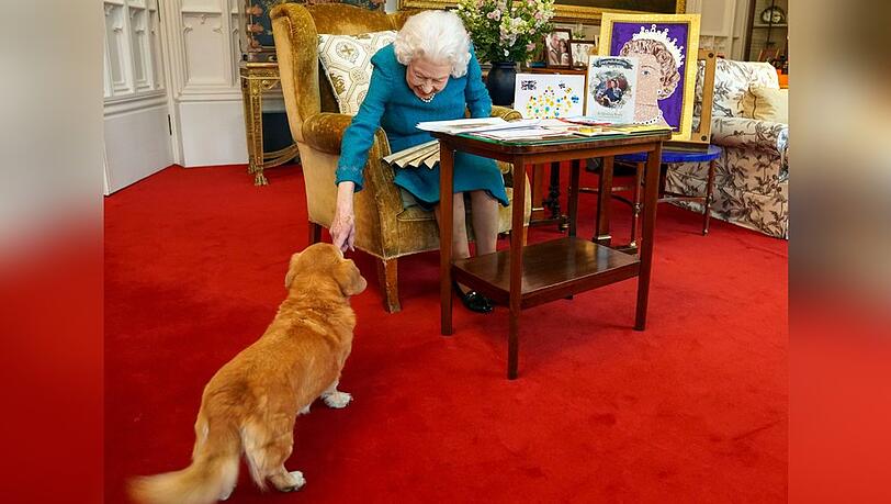 Ob Queen Elizabeth II. ihren Hund Candy auch mit dem neuen Parfüm einsprüht?