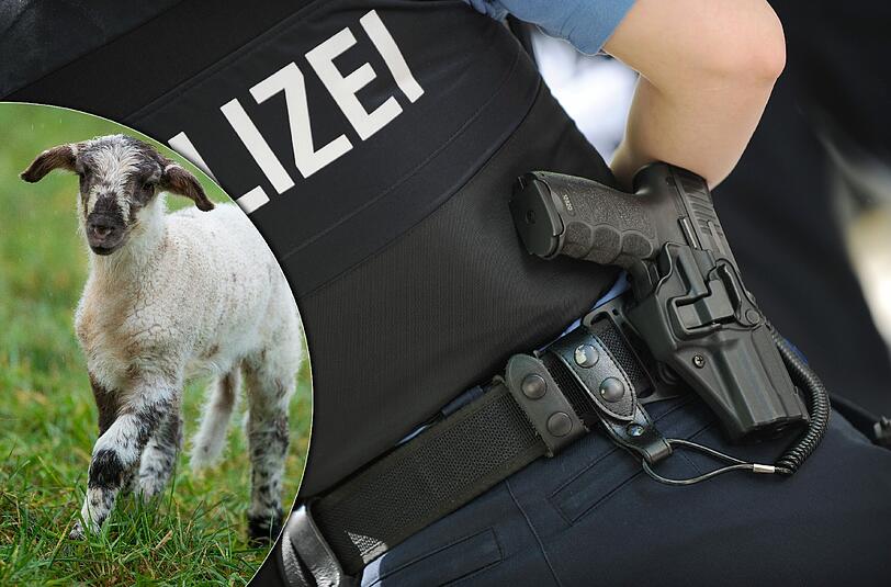 Völlig irre: Ein 55-Jähriger tötete vor den Augen der Polizei ein Lamm und bedrohte die Beamten mit dem Messer.