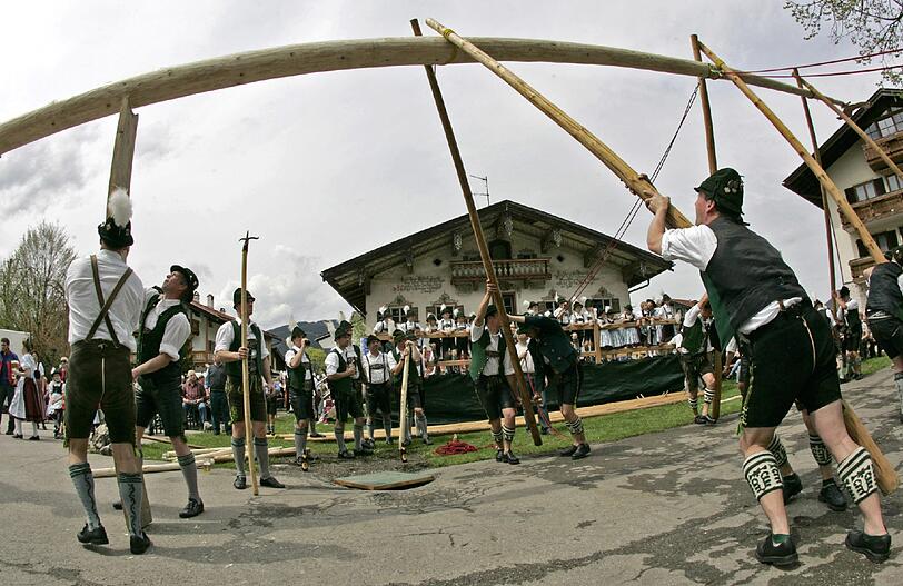 Wenn der Maibaum aufgestellt wird geht's wieder los! Aber nur wenige Gemeinden stellen noch auf die traditionelle Weise auf.