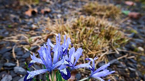 Die Temperaturen klettern in den n&auml;chsten Tagen in die H&ouml;he.