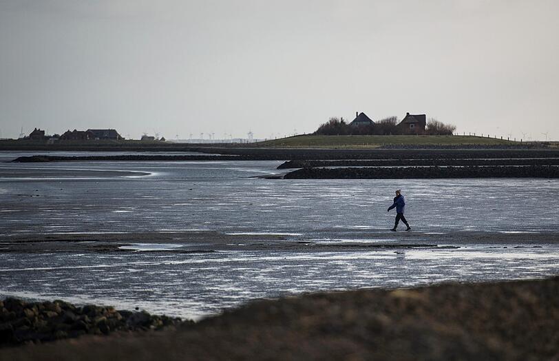 Die nordfriesische Hallig Langeneß
