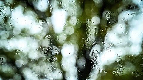 Herbststurm "Joshua" bringt auch immer wieder Regen mit sich.