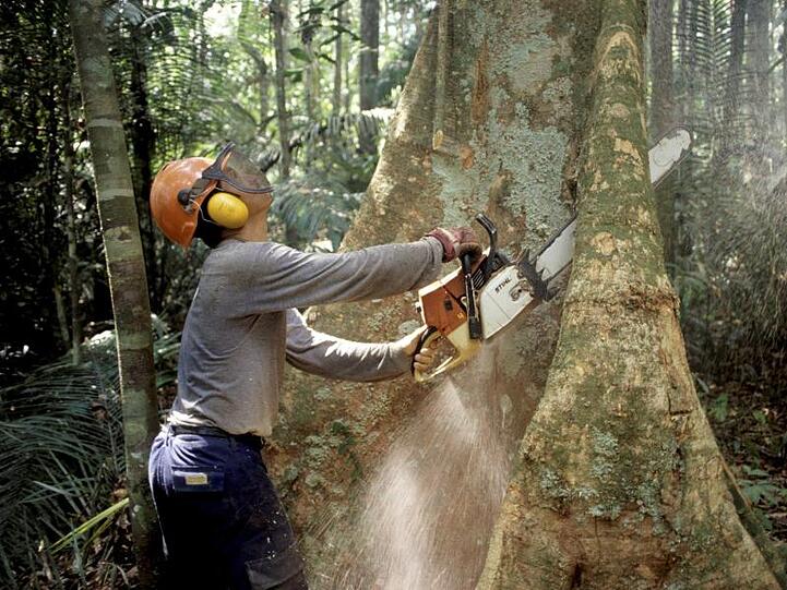 Ein Holzfäller arbeitet mit einer Kettensäge im brasilianischen Regenwald. Rund 100 Millionen Hektar Tropenwald verschwanden laut IPBES bereits von 1980 bis 2000.