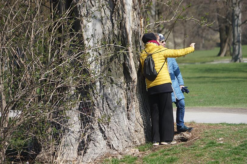 Zwei Menschen machen an einem Baum lehnend ein Selfie.