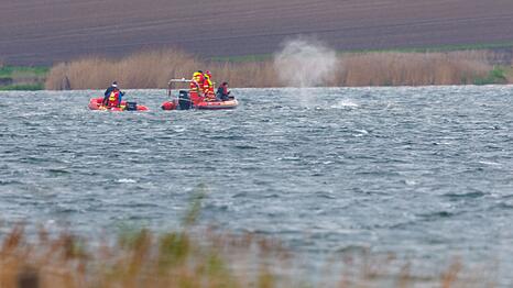 Der Wal ist am Morgen losgeschwommen.